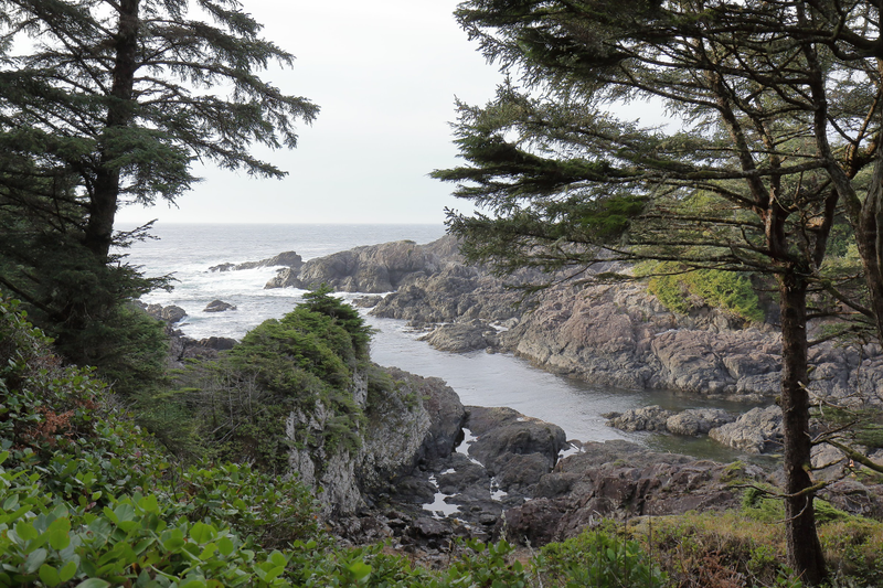 Illustration for article titled Trip Recap: 2017-12-09 on the Pacific Rim Highway to the Wild Pacific Trail